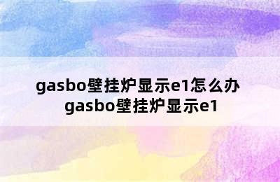 gasbo壁挂炉显示e1怎么办 gasbo壁挂炉显示e1